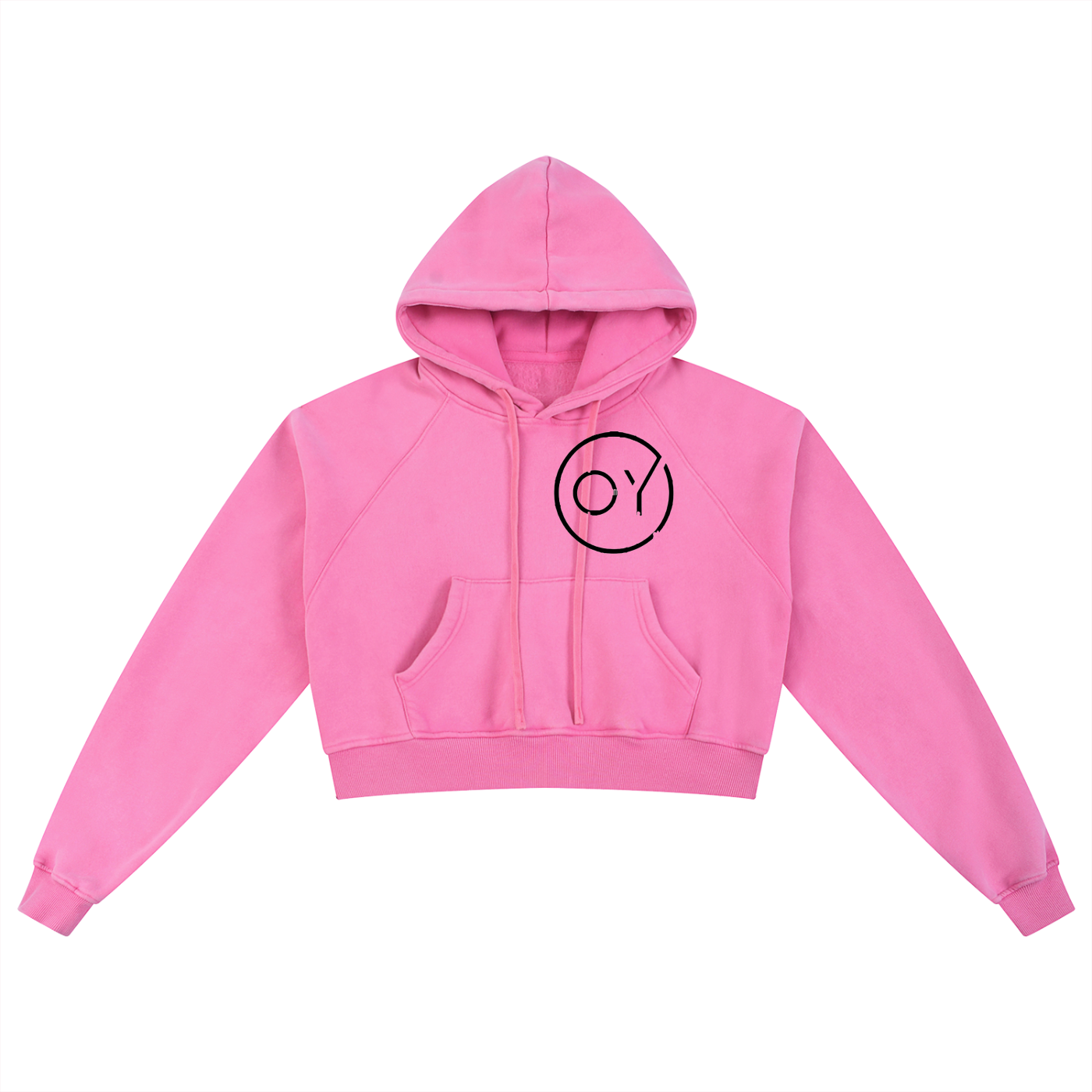 Snow Washed Cropped Hoodie